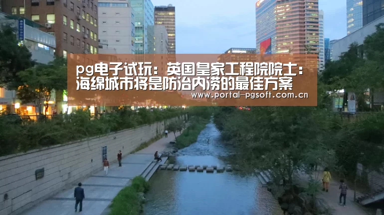 pg电子试玩:英国皇家工程院院士:海绵城市将是防治内涝的最佳方案(图1) pg电子试玩