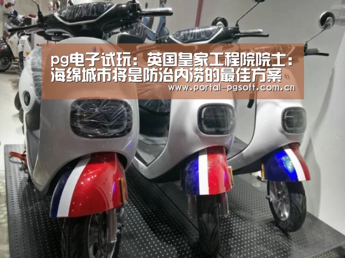 pg电子试玩:英国皇家工程院院士:海绵城市将是防治内涝的最佳方案(图2) PG Soft