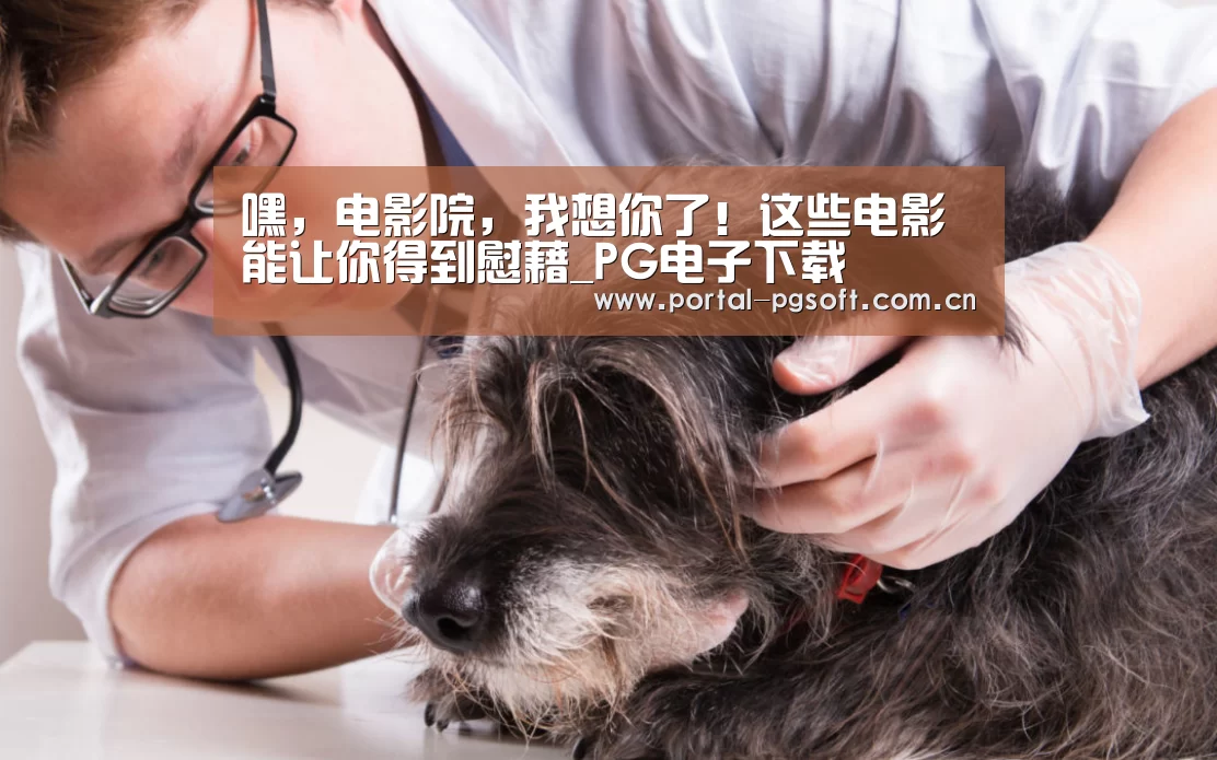 嘿,电影院,我想你了!这些电影能让你得到慰藉_PG电子下载(图1) pg电子