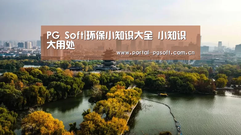 pg电子试玩
