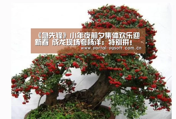 PG电子下载