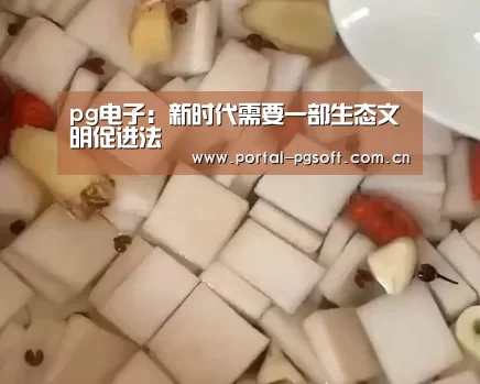 pg电子试玩